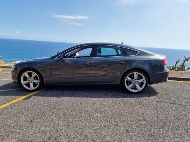 2010 Audi a5 sportback